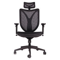 Frank Tech High End Ergonomic Office Chair Comfortable High Back Mesh Chair